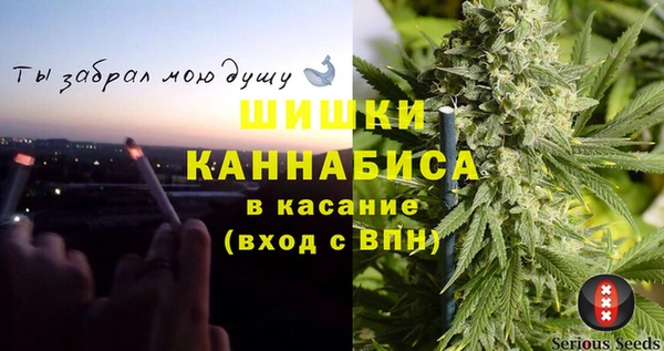 стаф Кострома