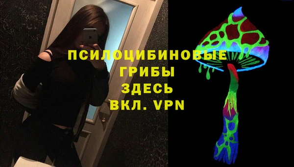 амф Козельск