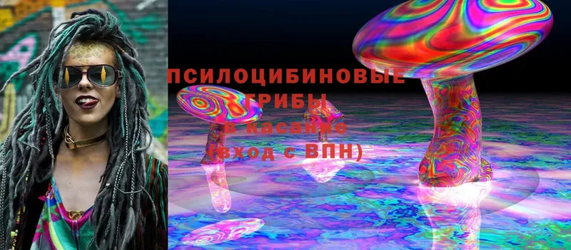 Псилоцибиновые грибы Cubensis Вилючинск