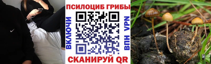Галлюциногенные грибы мицелий  сайты даркнета как зайти  Вилючинск 